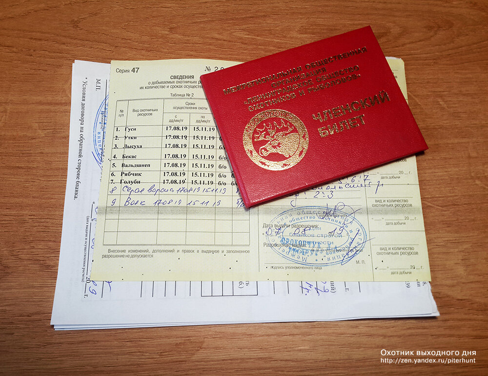 Разрешение на добычу охотничьих ресурсов. Лицензия на добычу косули. Разрешение на охоту на зайца. Разрешение на добычу охотничьих ресурсов. Разрешение на добычу лося.