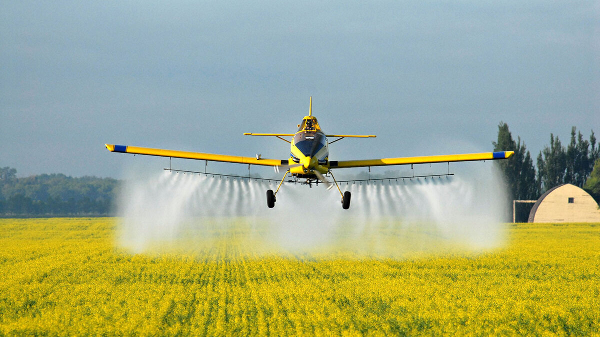 Фото и видео из открытых источников