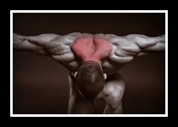 (Все картинки взяты из "Яндекс Картинок")