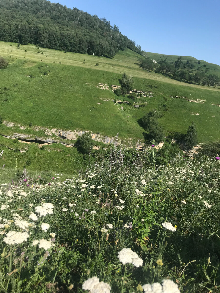 Фото автора . Пейзаж 