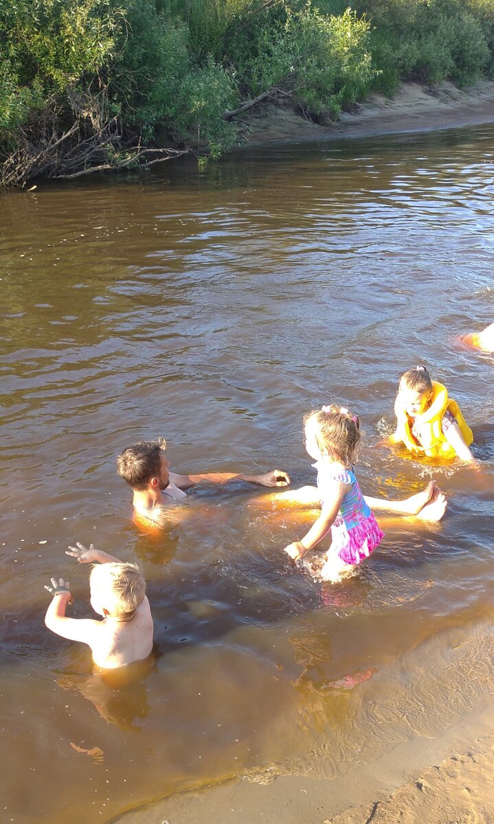 Внуки ( фото автора)