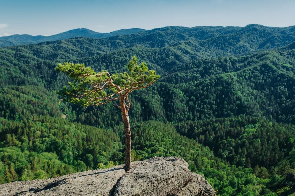 Гора "Круглая". Фото - Валерий Степанюк.
