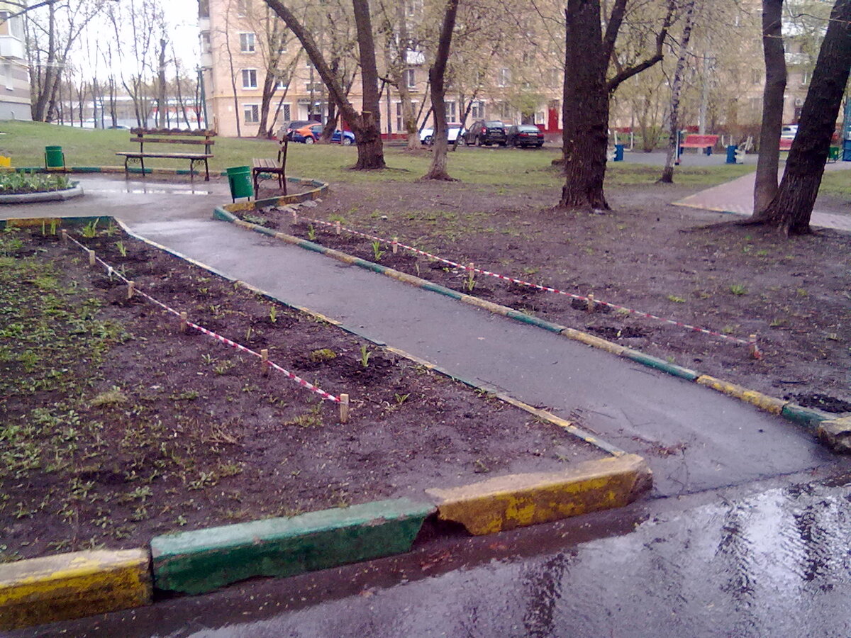 Будущая красота, которой еще никто-никто не видит...