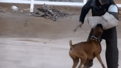 хук с левой