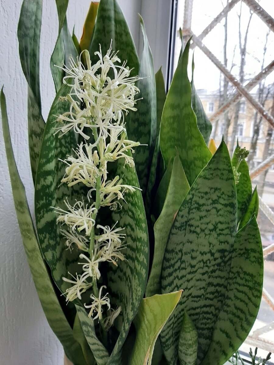 Личное фото