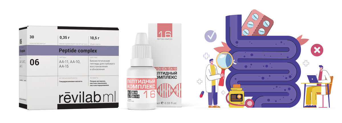 Поддержать здоровье поджелудочной железы эффективно поможет пептид поджелудочной железы. Отступает угроза метаболического синдрома, нормализуется уровень глюкозы в крови, а значит сахар не угрожает больше нашей красоте и здоровью. Даже неисправимые сладкоежки могут уменьшить риск развития сахарного диабета и убрать глубокие морщины, вызванные гликацией. 
Стенка кишечника – это самый мощный барьер между внешней и внутренней стеной в организме. Усилить и восстановить ее – значит обрести крепкие здоровые «границы». Через такую «границу» не прорвется ни гельминт, ни патогенный гриб, ни бактерия. А также все токсины, которые проникают в кишечник с водой и пищей. Таким образом можно снизить уровень интоксикации организма внешними агентами.

Ну и, конечно, иммунитет. Без здорового сильного иммунитета не будет и здорового кишечника, ведь 75 % всех иммунокомпетентных клеток сконцентрировано вокруг стенок кишечника. Поэтому пептид тимуса здесь тоже необходим.

Полный набор данных пептидных комплексов содержится в двух препаратах компании Peptides – Revilab ML 06 и ПК-16.

Revilab ML 06 содержит в себе пептиды печени, поджелудочной железы и стенки кишечника. Пептидные комплексы в Revilab ML 06 синтезированные, короткие, узкоспециализированные. Они быстро и эффективно запускают реакции синтеза белка в соответствующих клетках и тканях.

ПК-16 в дополнение к пептиду печени, поджелудочной железы и стенок желудка содержит также пептид тимуса. Пептидный комплекс в растворе содержит натуральные формы пептидных биорегуляторов, чье действие пролонгировано и эффективно дополняет действие коротких синтезированных пептидов.

Рекомендуется использовать Revilab ML06 и ПК-16 одновременно для усиления эффекта от натуральных и синтезированных пептидов.

Рекомендуемая схема применения:

Revilab ML06 – по 1 капсуле утром за 30 минут до еды;
ПК-16 – по 6-8 капель нанести на внутреннюю поверхность предплечья и растереть до полного впитывания.
В зависимости от состояния организма продолжительность курса может колебаться от 1 месяца до полугода. При необходимости курсы можно повторять после небольшого (1-2 месяца) перерыва.