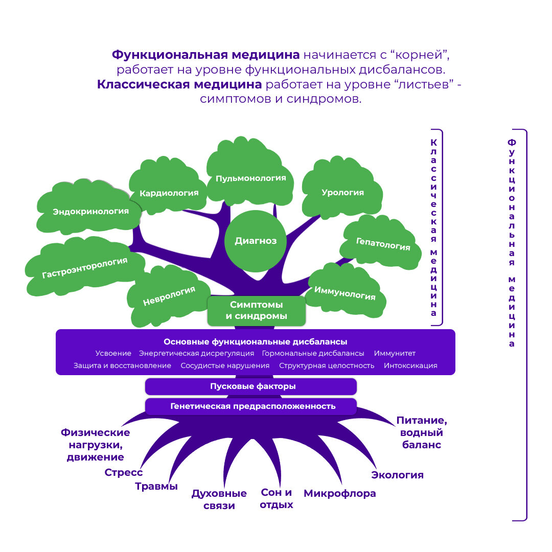 "Дерево" превентивной/функциональной медицины (источник - УОМ)