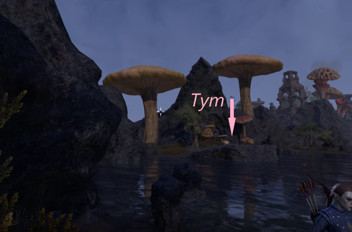 Месторасположение кучи земли