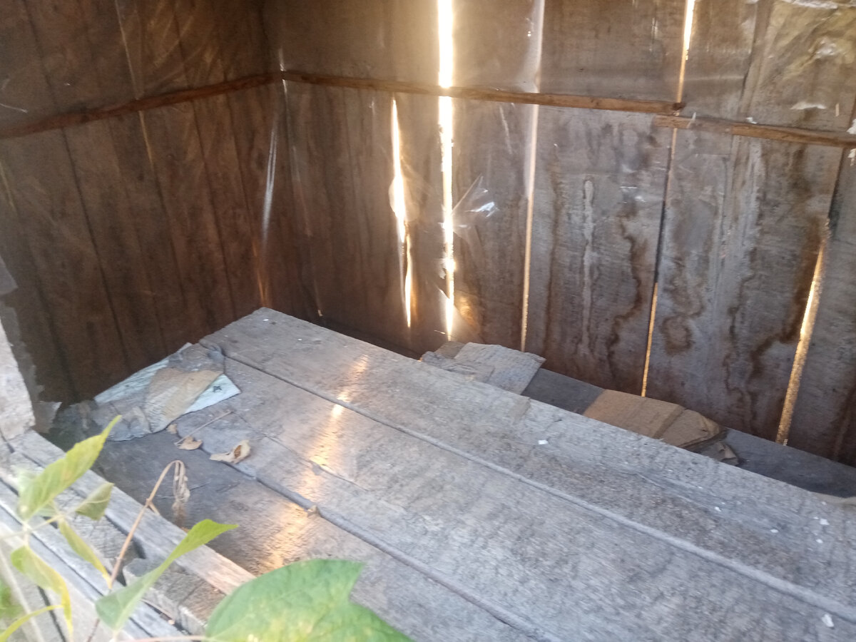 Зараза. Сходили на рыбалку | Живу по-деревенски | Дзен