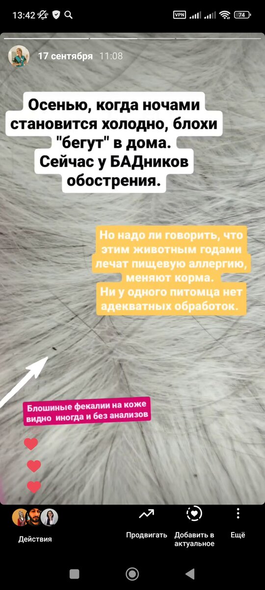 В запрещенке было много реакций , когда я показала истории с приема