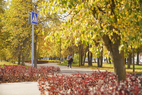     В Иванове завершается второй этап комплексной реконструкции улицы Лежневской