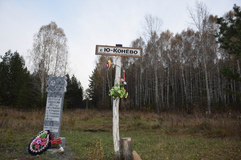 Конево невьянского. Конёво Челябинская область. Село Юго Конево Челябинской области. Село Конево. Конево Тюменская область.