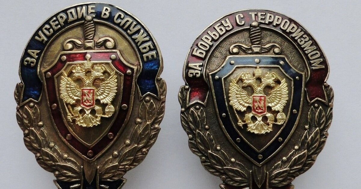 Ведомственные награды знаки. Ведомственные нагрудные знаки. Росгвардия медали ведомственные. Ведомственные нагрудные знаки МВД. Значки ведомств.