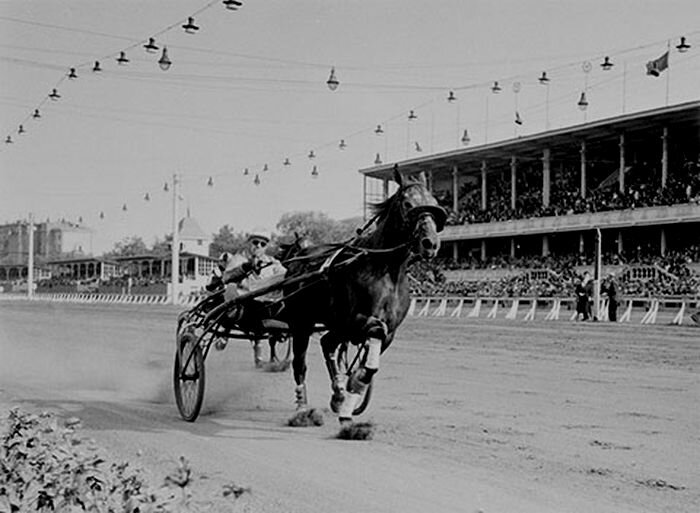 Интересно, велики ли у этой лошадки шансы на победу?