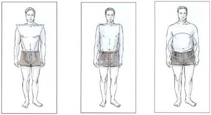 Люди с узкими плечами. Тип телосложения перевернутый треугольник у мужчин. Фигура перевернутый треугольник у мужчин. Треугольный Тип фигуры у мужчин. Мужской Тип фигуры перевернутый треугольник.