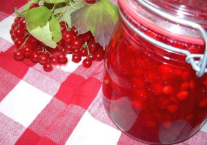 Как приготовить такую смесь: на 1 кг свежих ягод калины понадобится 0,5-0,8 кг сахара. Процедура такая же, как и в предыдущих вариантах, необходимо вымыть и просушить ягоды. А далее в стеклянные банки засыпаем, чередуя сахар и калину. Делаем это так, чтобы в конце сахар покрывал всю поверхность калины. Хранить такие баночки в холодильнике с плотно зафиксированными крышками. Аналогично можно калину перетереть с медом (1:1) и тоже закрывать в банках, такую смесь можно употреблять не раньше чем через 7 дней.