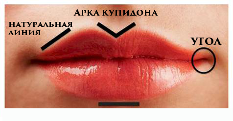 Как определить характер человека по губам