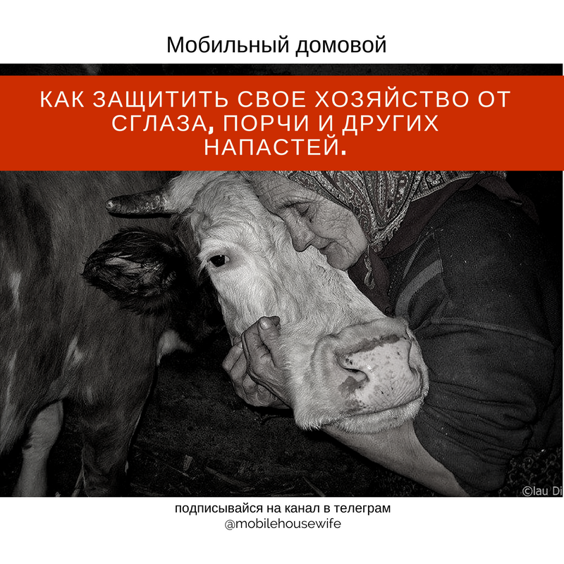 Как защитить свое хозяйство от сглаза, порчи и других напастей.