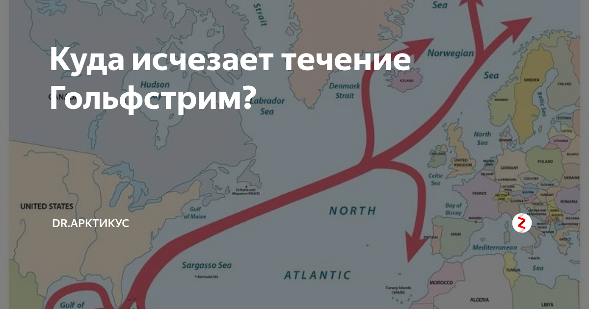 Говоря о гольфстрима кривин пишет что