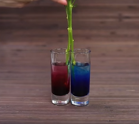 33 лучших примера того, что можно сделать своими руками