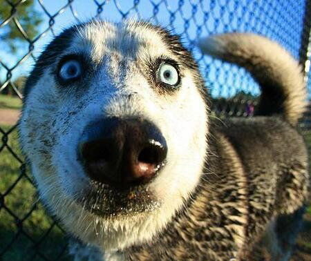 Сказать что я удивлен, ничего не сказать...