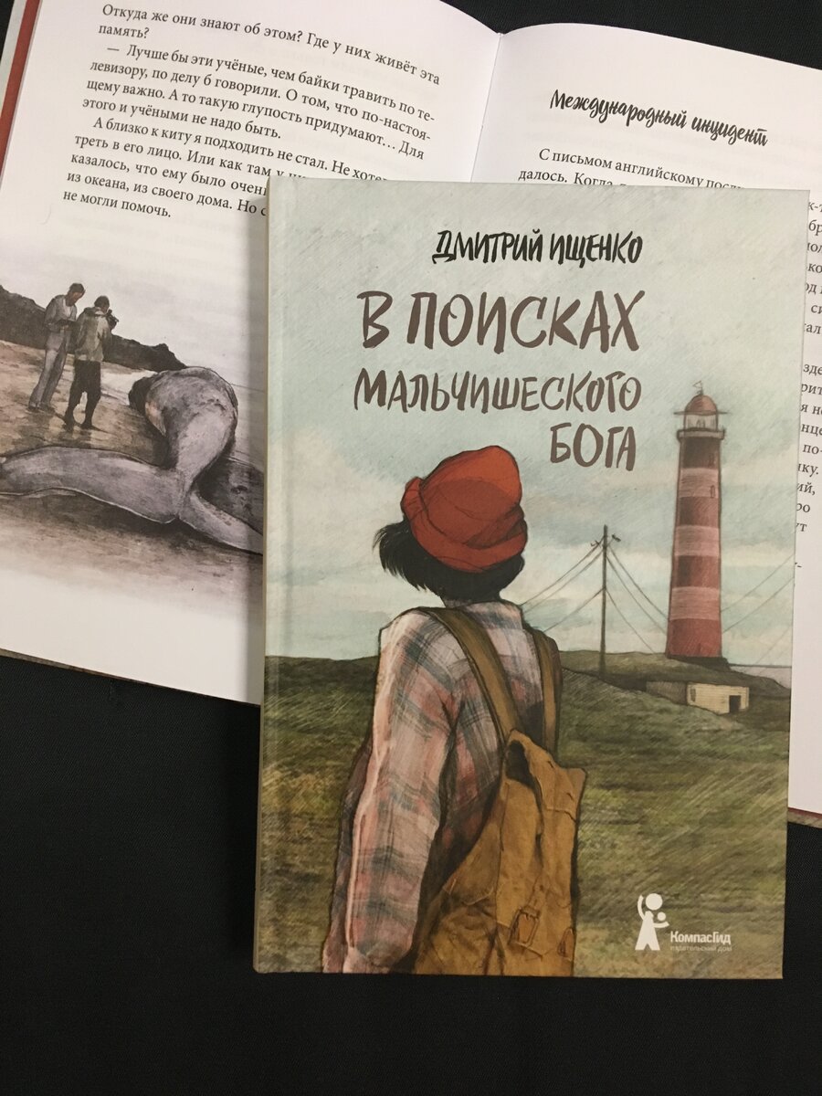 Обложка книги «В поисках мальчишеского бога»