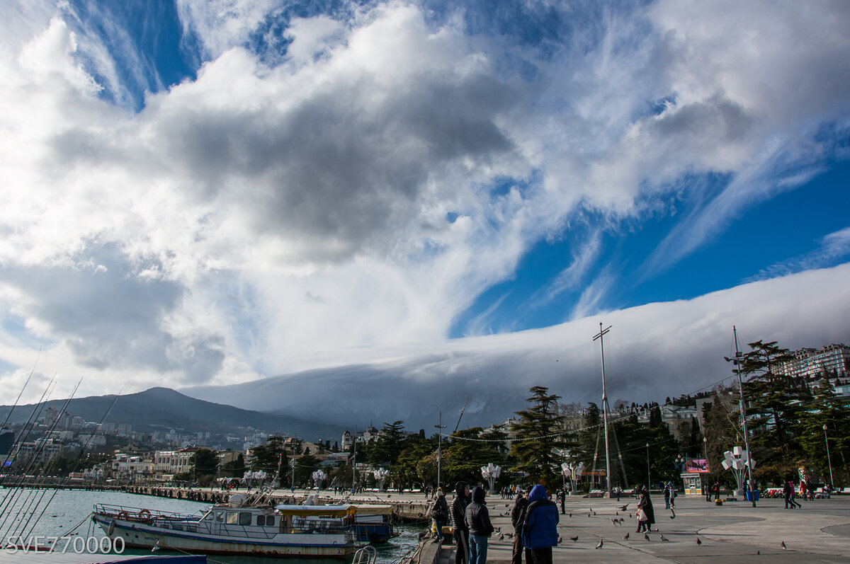 2. Ялта, как Алушта, надежно защищена горами, поэтому здесь всегда теплее, чем в среднем по Крыму.