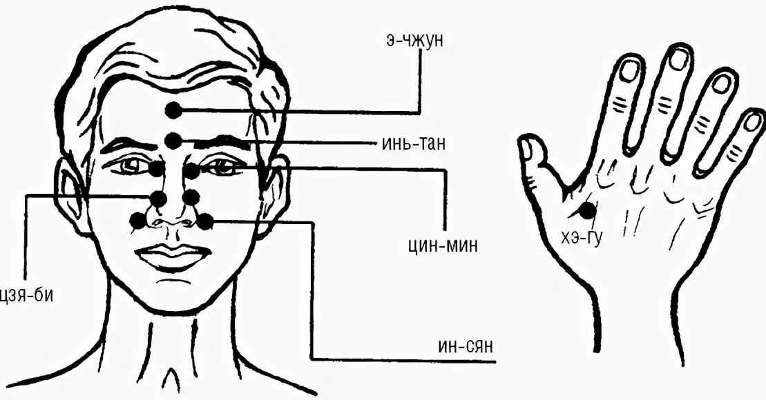 Раскрыть точка. Точечный массаж при вазомоторном рините. Точки акупунктуры при рините. Точечный самомассаж переносица точка 1. Точки для массажа носа.