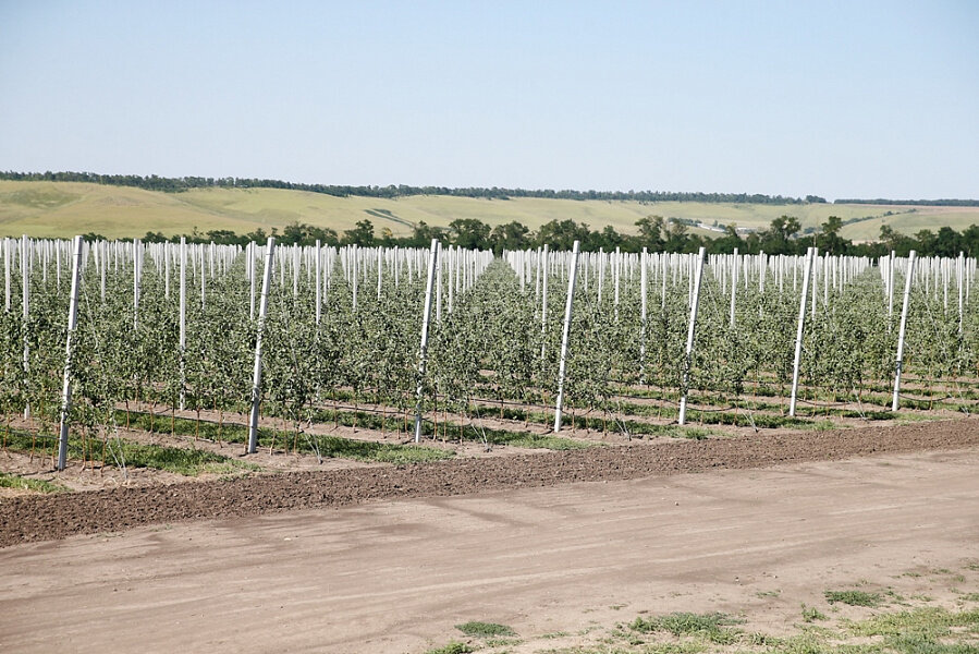 Источник: admkrai.krasnodar.ru 
