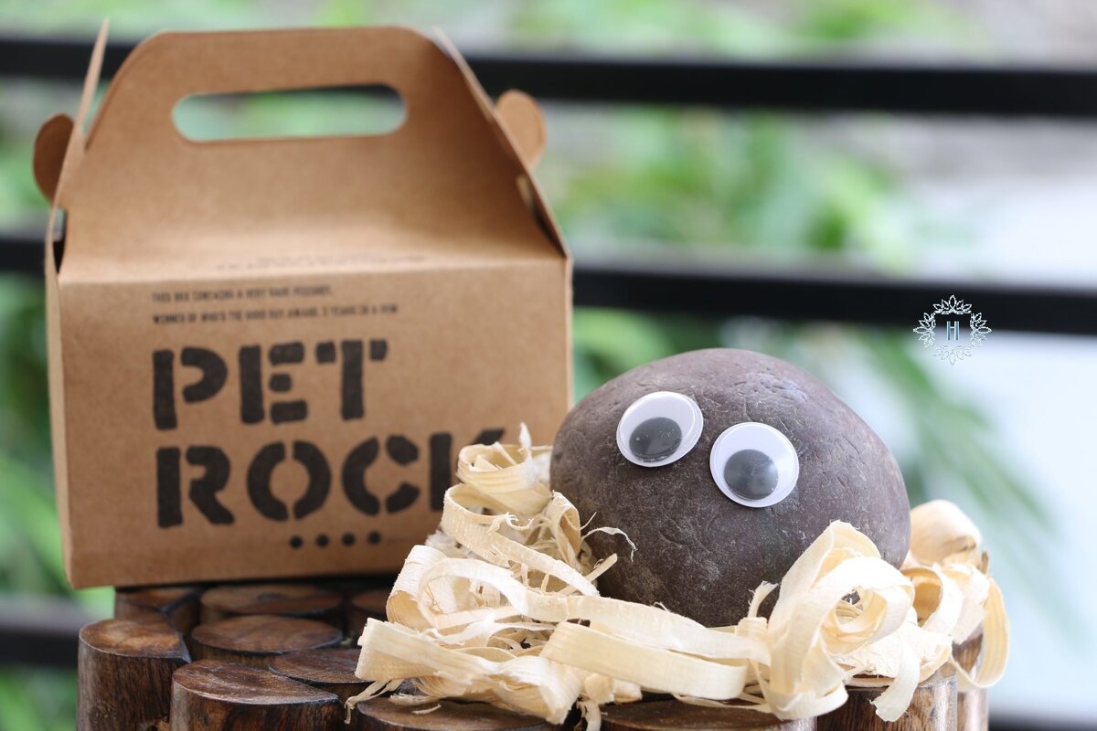 Pet Rock