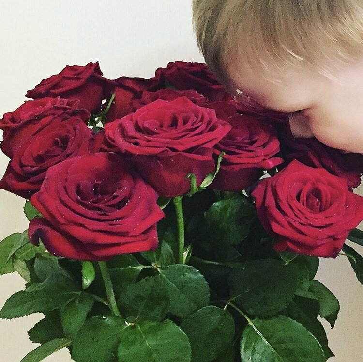 10 интересных фактов о розах 🌹 