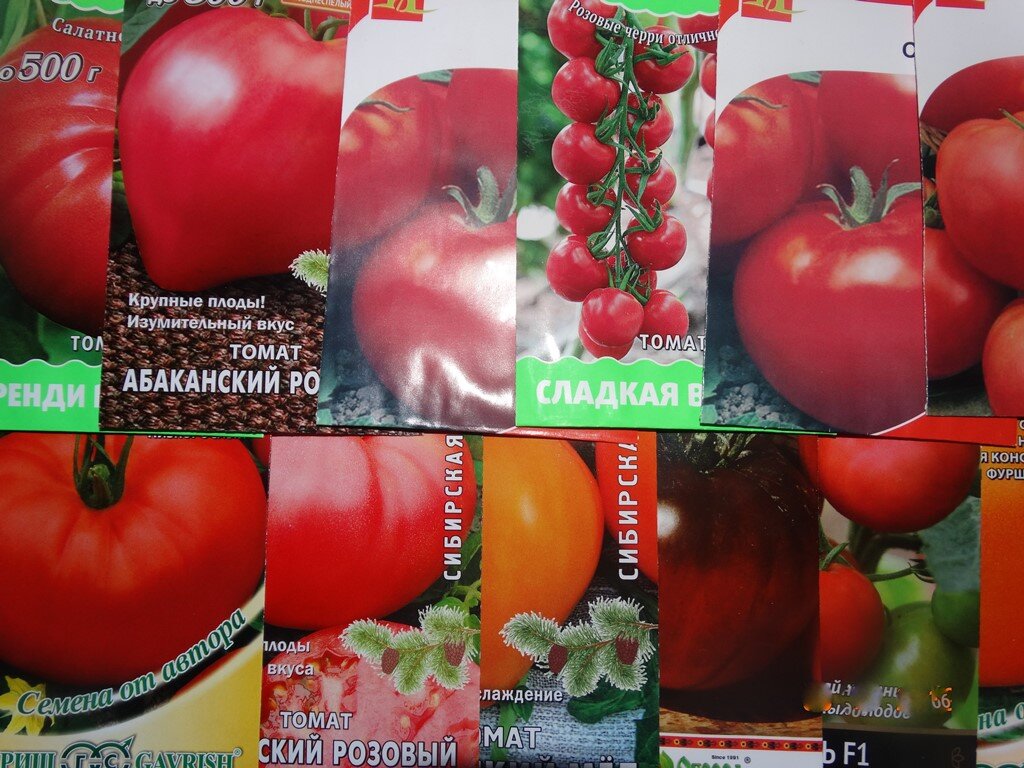 Сорта помидор для выращивания в теплице