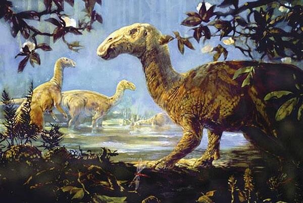   Часто, когда говорят про вымирание динозавров, упускают факт того, что к знаменитому падению чиксулубского метеорита динозавры уже доживали свой век.-2