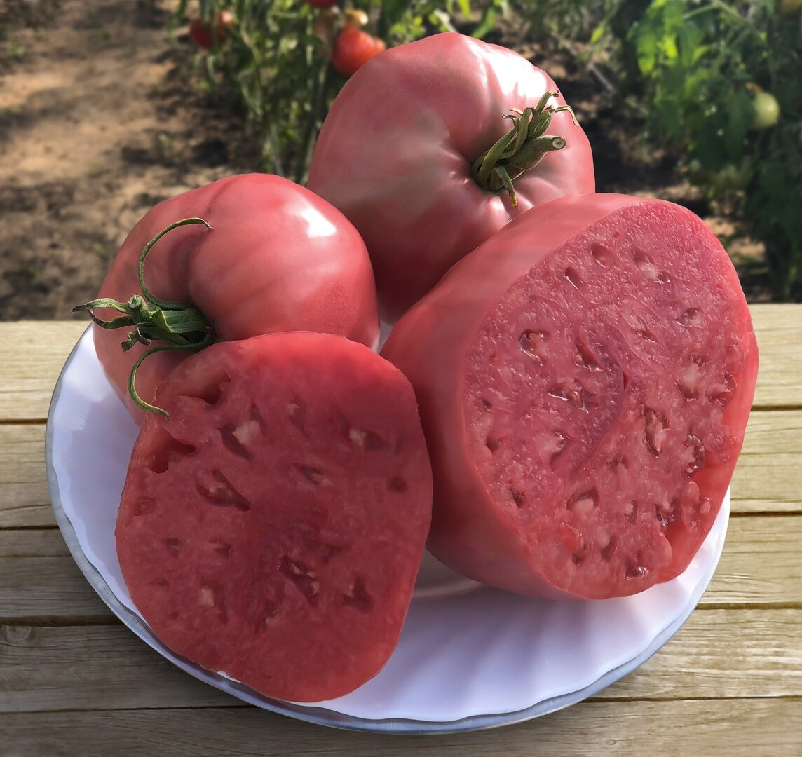 Самые вкусные помидоры. Томат Королевич семена Алтая. Сорт томата Королевич. Сорт помидор Королевич. Томат розовый мясистый Марс.