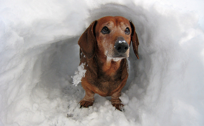 Не наша фоточка, но смысл понятен.