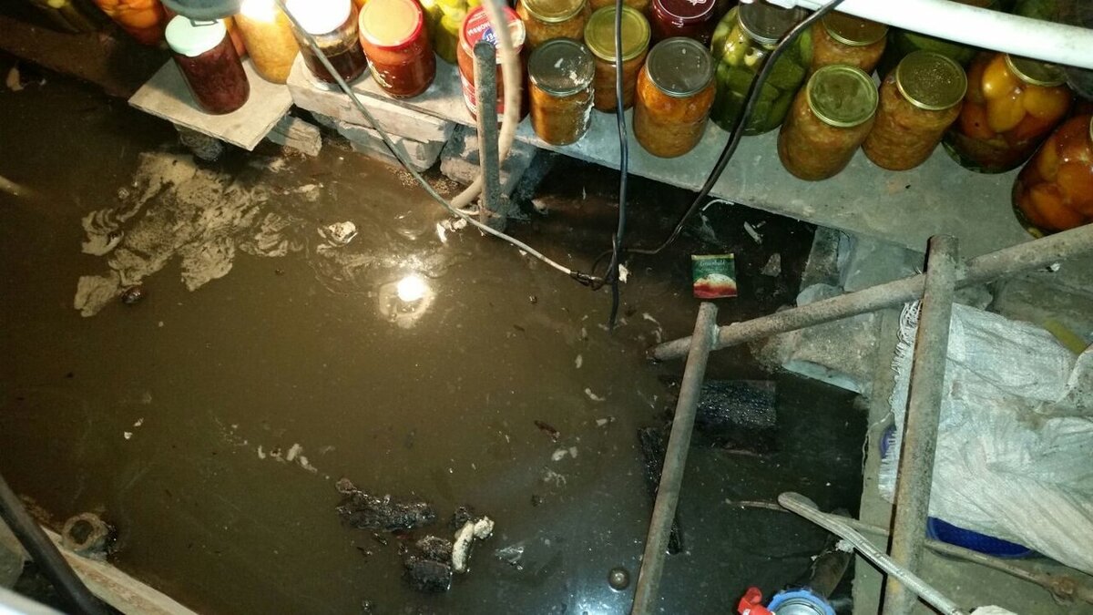 Пришла весна 