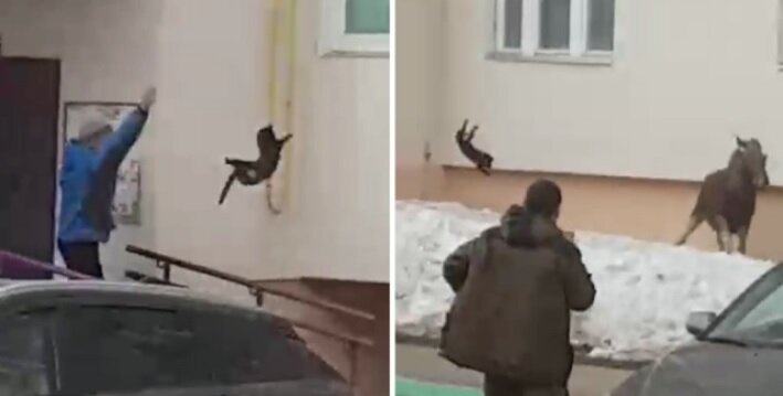 Фото: ntv.ru