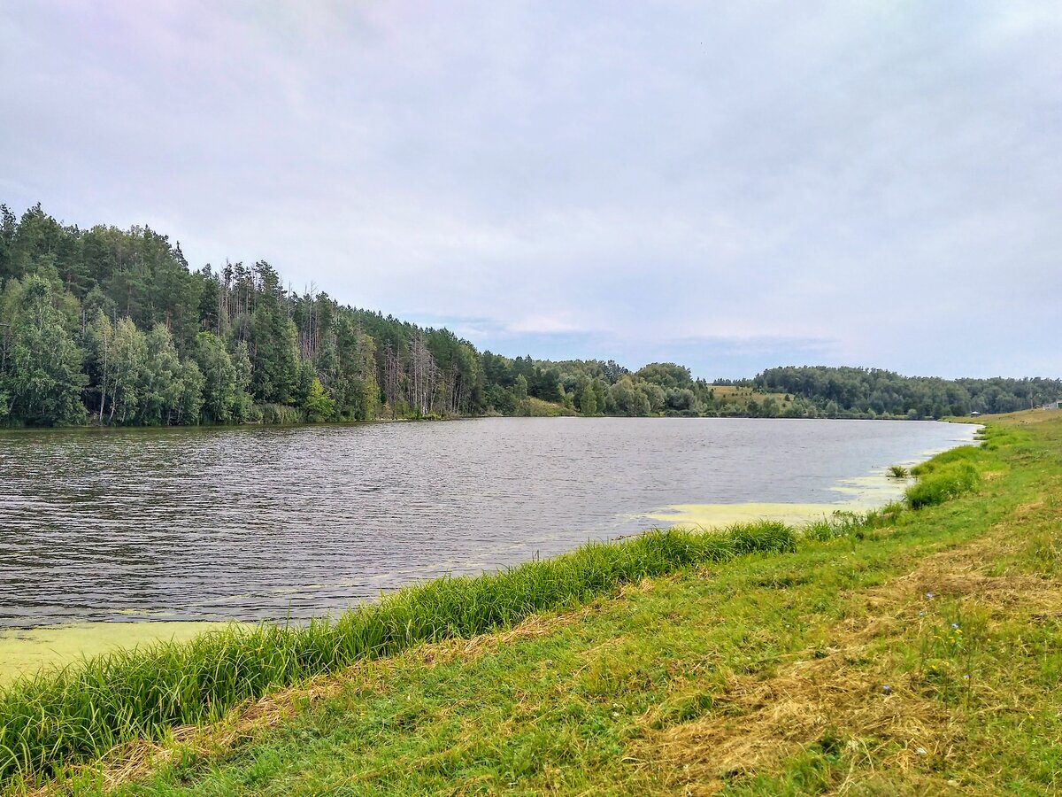 Ульяновская область Мелекесский район село Терентьевка пруды