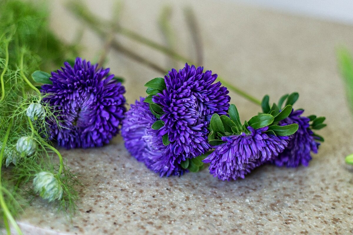 Игорь Полищук, ответственный сдатчик АПЛ | Игорь Шевчук | Дзен