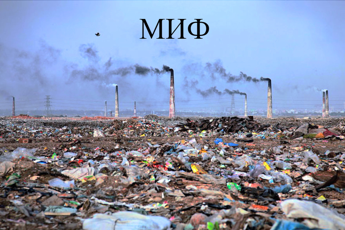 Многие определяют слово "экология" как синоним к состоянию окружающей среды и всему, что связано с этим.