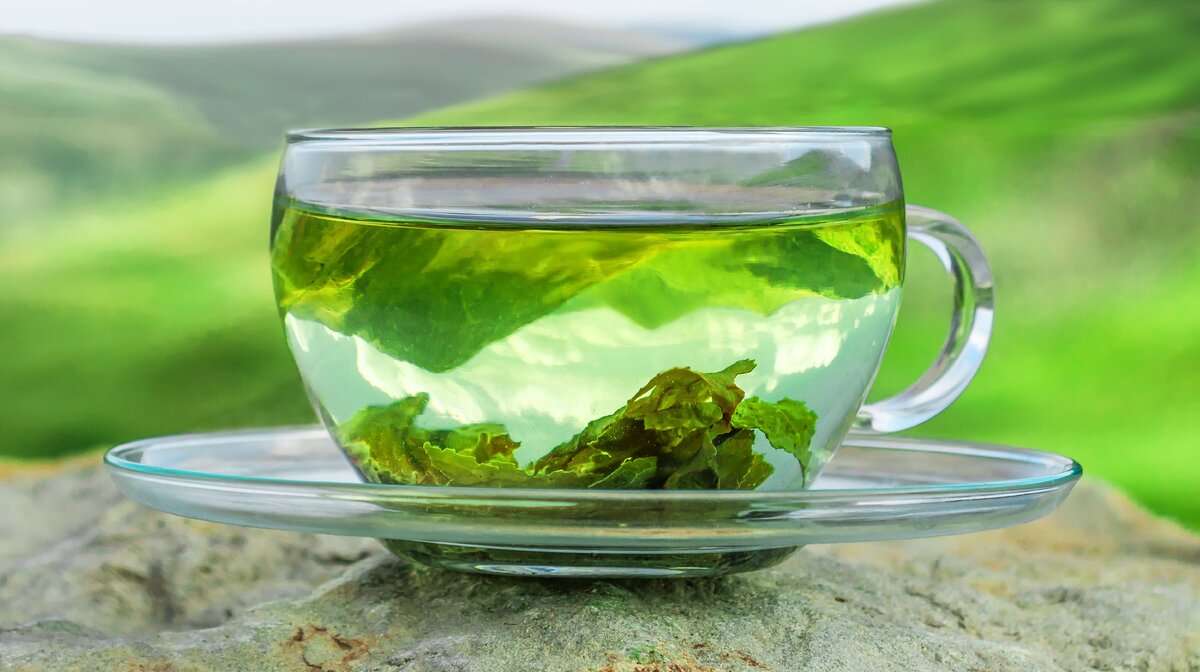 Зеленый чай Green Tea