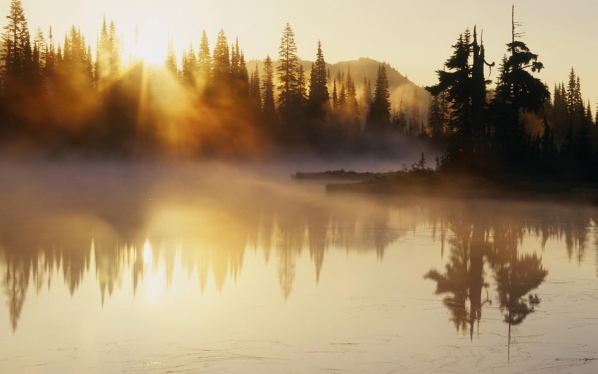 Фотография из интернета