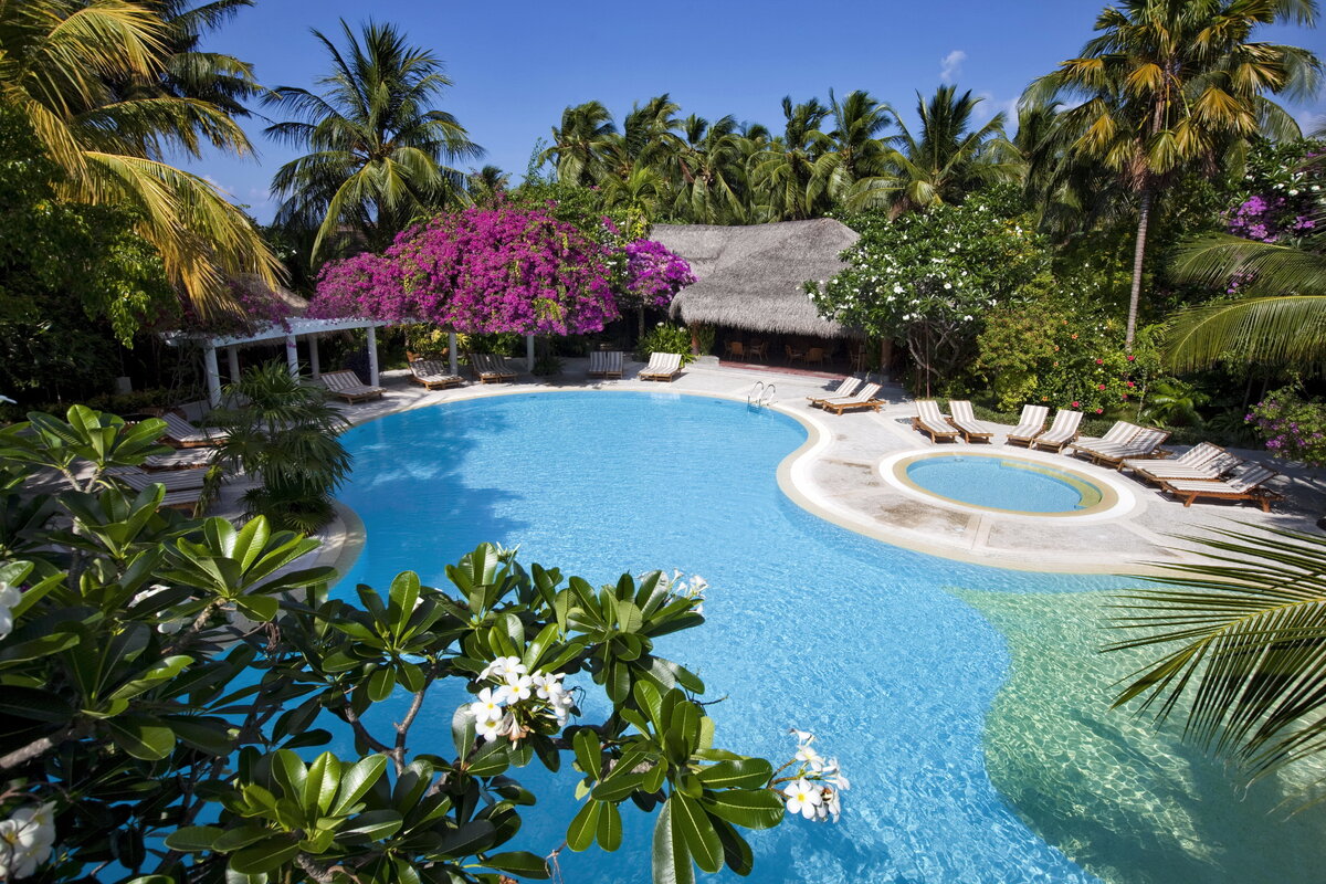 Фото из открытого источника