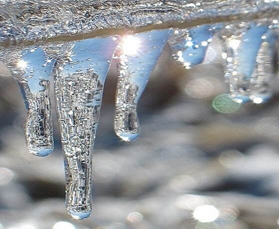 Капель. (фото из интернета)