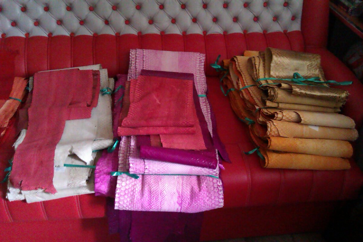 Цветные кожи из шкур питонов