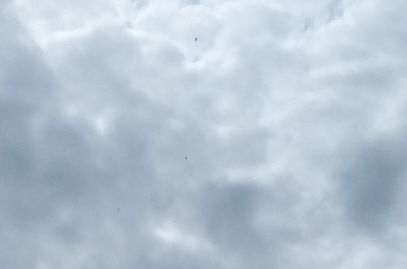 несколько НЛО, неопознанные объекты над городом 