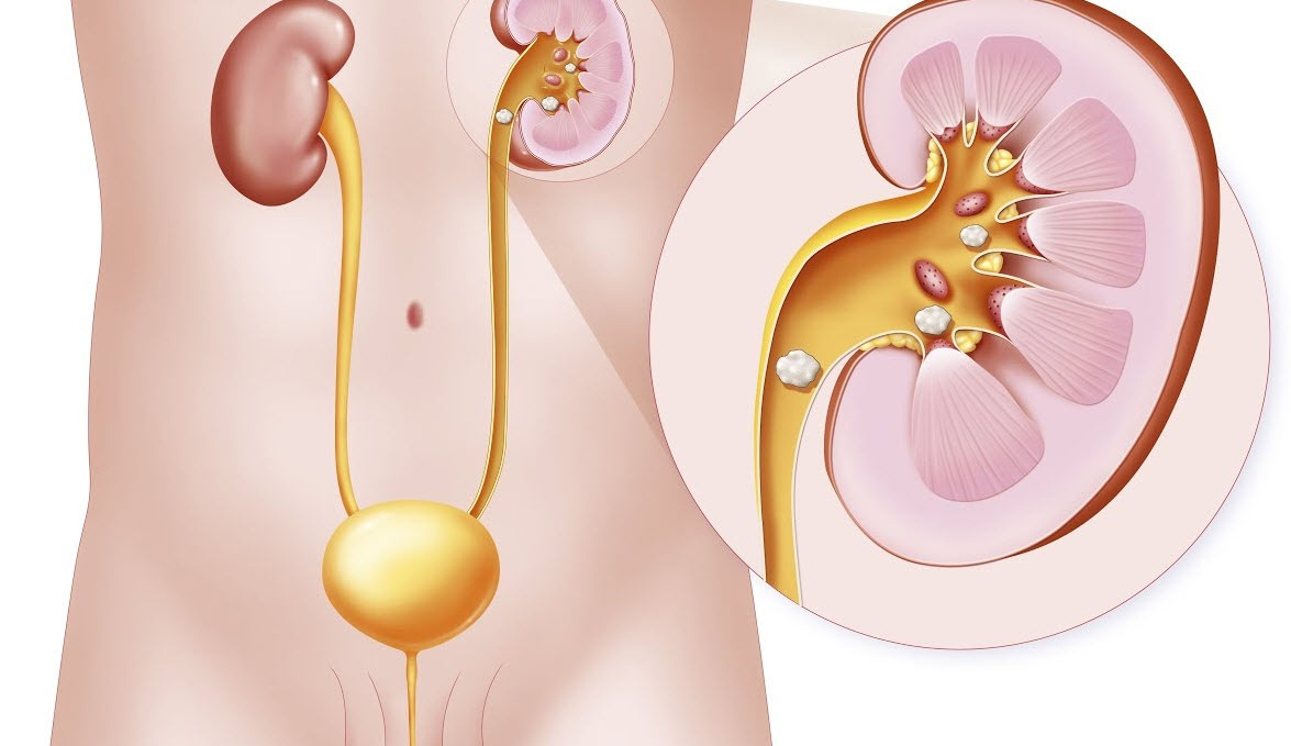 Изображение из yandex.ru