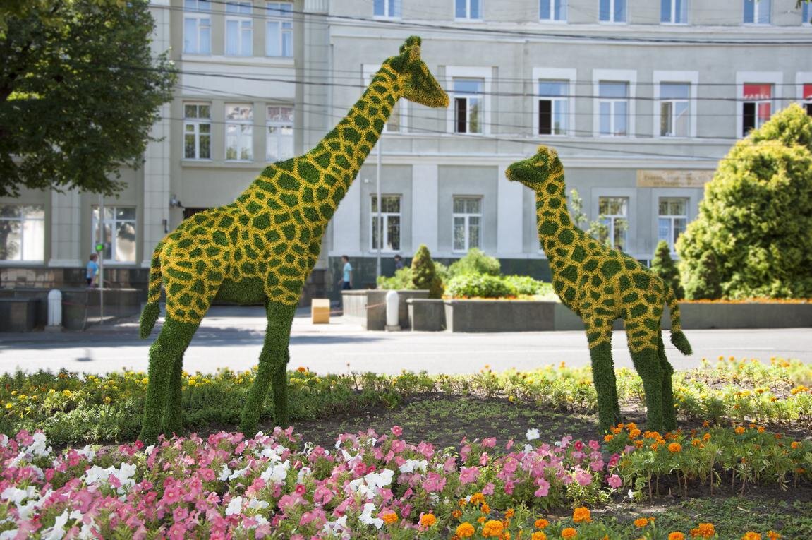 Памятник жирафа Ставрополь