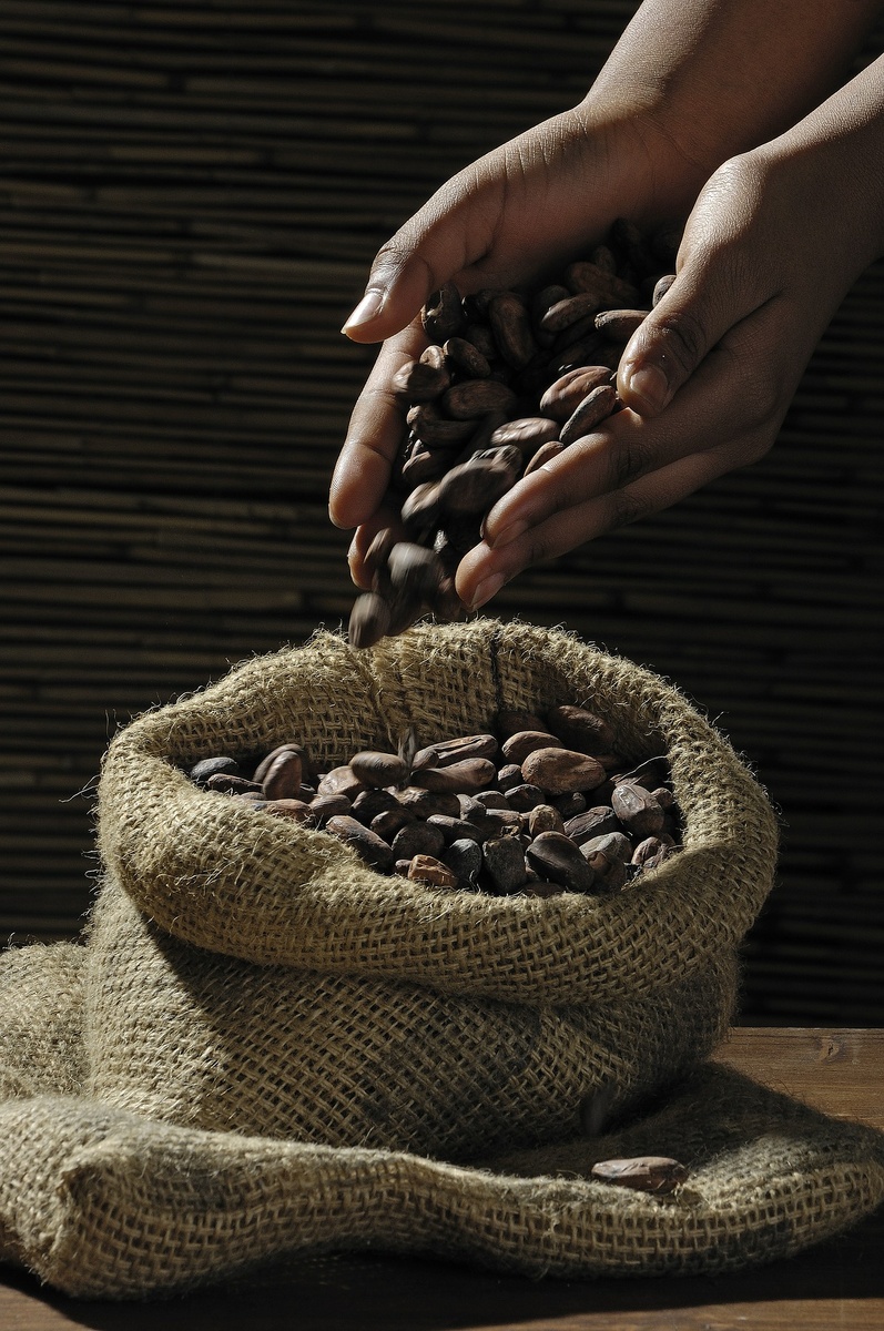 https://pixabay.com/get/52e9dc4a4d52b108feda84608229357f1c3dd9ec574c704c722e78d19444c25f/cocoa-beans-499970_1920.jpg