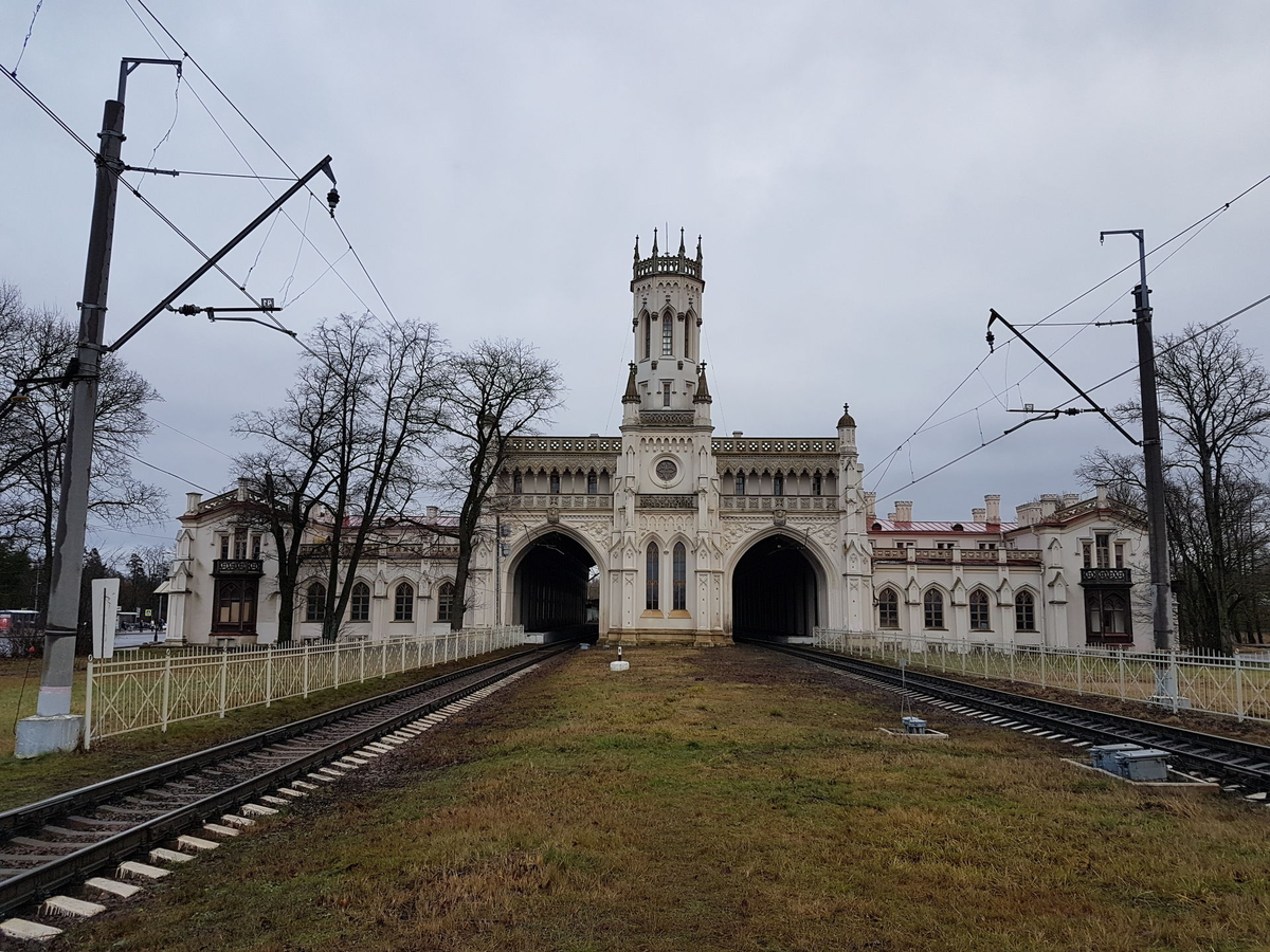 Фото: Дмитрий Фуфаев/ «Петербургский дневник»